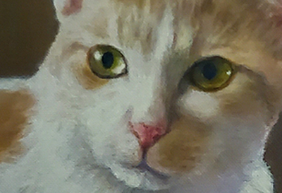 Karl the Cat painting